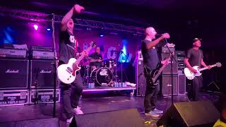 millencolin yellow dog