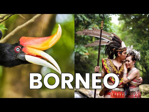 Perang Jepun di Sabah – 10 Fakta Borneo yang Orang Jarang Sebut