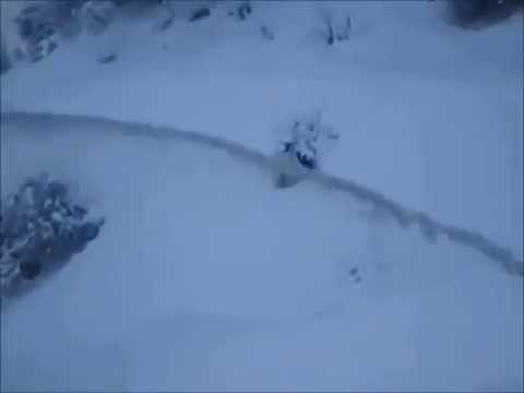 RPM217 Snow Blower