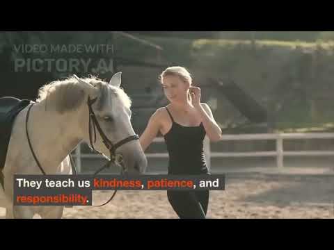 2025年11月26日 (26 November 2025)