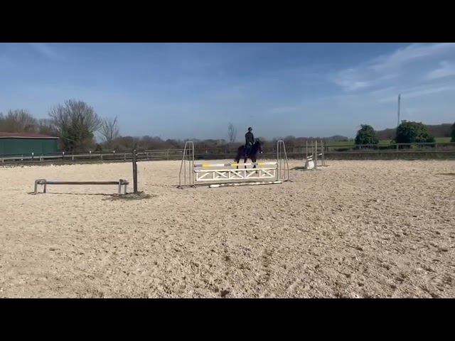 A vendre Belle AQPS 7 ANS 