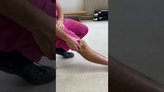 Lateral Collateral Ligament Sprain