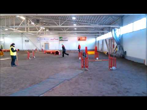 Tialan Armani agility maxi1 24.10.2015