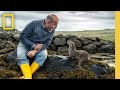 Billy Molly An Otter Love Story Full Documentary Special National Geographic