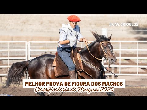 Moccateo Cala Bassa - TE • Melhor Prova de Figura dos Machos na Classificatória do Uruguai 2025