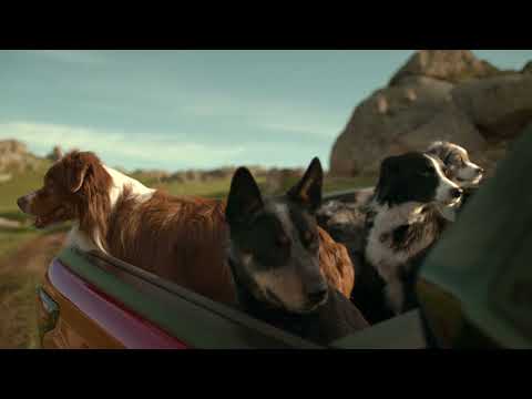 Toyota | HiLux | The Pied Piper