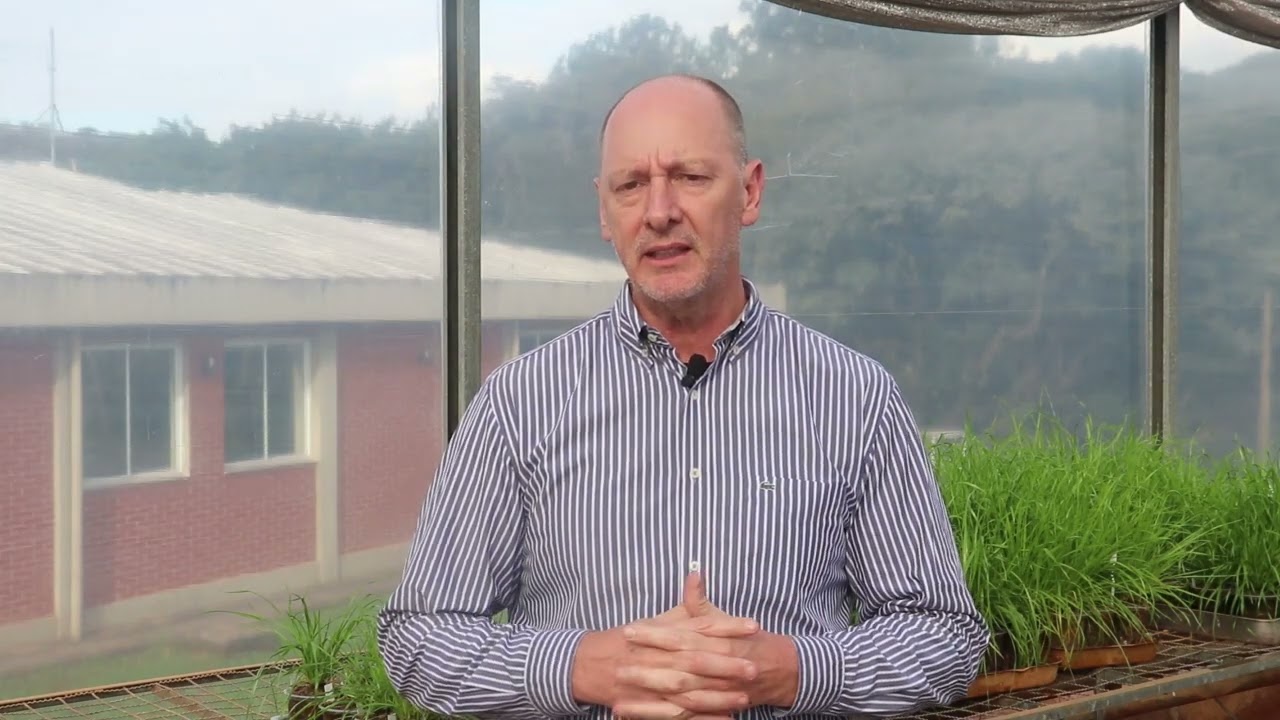 Alternativas para controle de azevém resistente a herbicidas