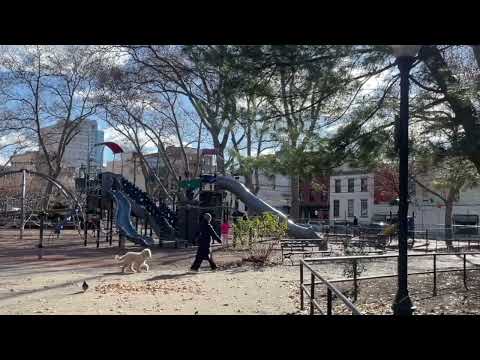 Hoboken Park Cameras