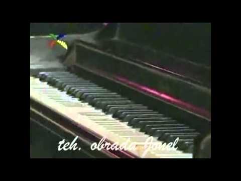 Zorica Junior-Can't tuch this