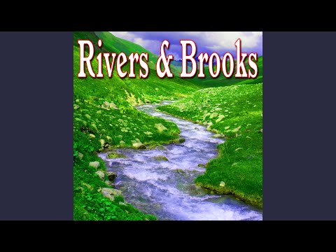 Babbling Brook with Heavy Water Flowing over Rocks