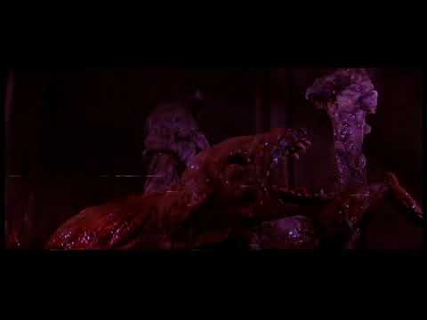Video thumbnail for ​rodents