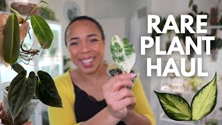 8 NEW PLANTS & HOW I plan to grow them || April Plant Haul