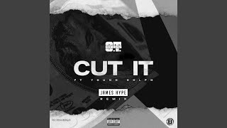 Cut It (feat. Young Dolph) (James Hype Remix)