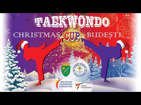 BUDESTI CHRISTMAS CUP - TERENUL 2