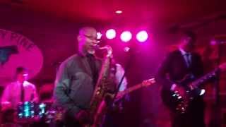 Karl Denson's Tiny Universe - My Baby Likes to Boogaloo - Knotty Pine