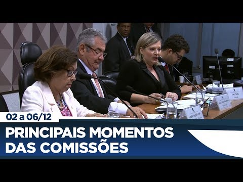 Instalada Comissão da Prisão em 2ª Instância e Joice Hasselmann depõe em CPMI; Veja outros destaques