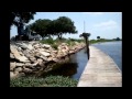 № 807 США Охота на аллигаторов air boat ride LONE CABBAGE Cocoa FL ...