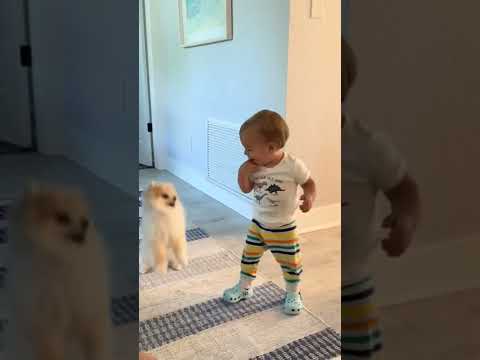 il bambino insieme al cane