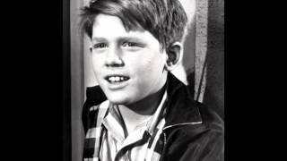 Andy Griffith Show Theme Song