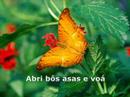 Voá Borboleta - Sara Tavares