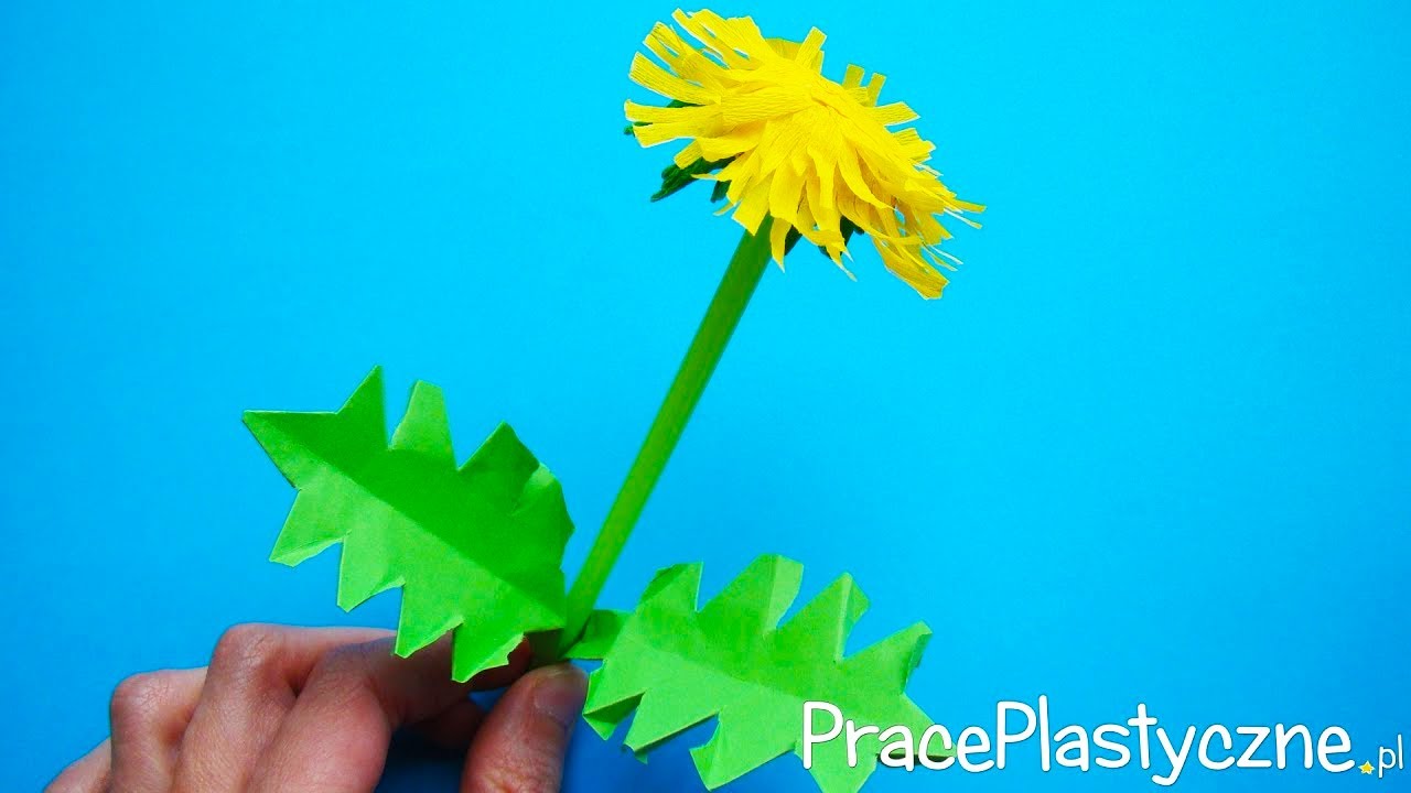 Jak zrobić mniszka lekarskiego?