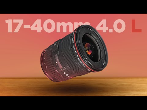 Video thumbnail for Video Review 1
