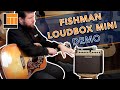Fishman LBX500 Loudbox Mini [Product Demonstration]
