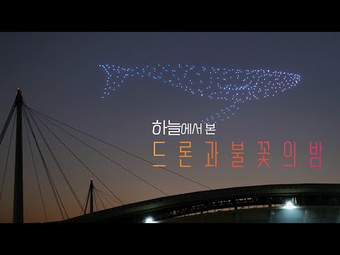 [풀버전] 드론으로 촬영한 드론쇼! 하늘에서 본 '드론과 불꽃의 밤' 4K