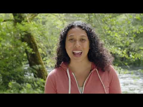 Fridie Outdoors Camping Guide