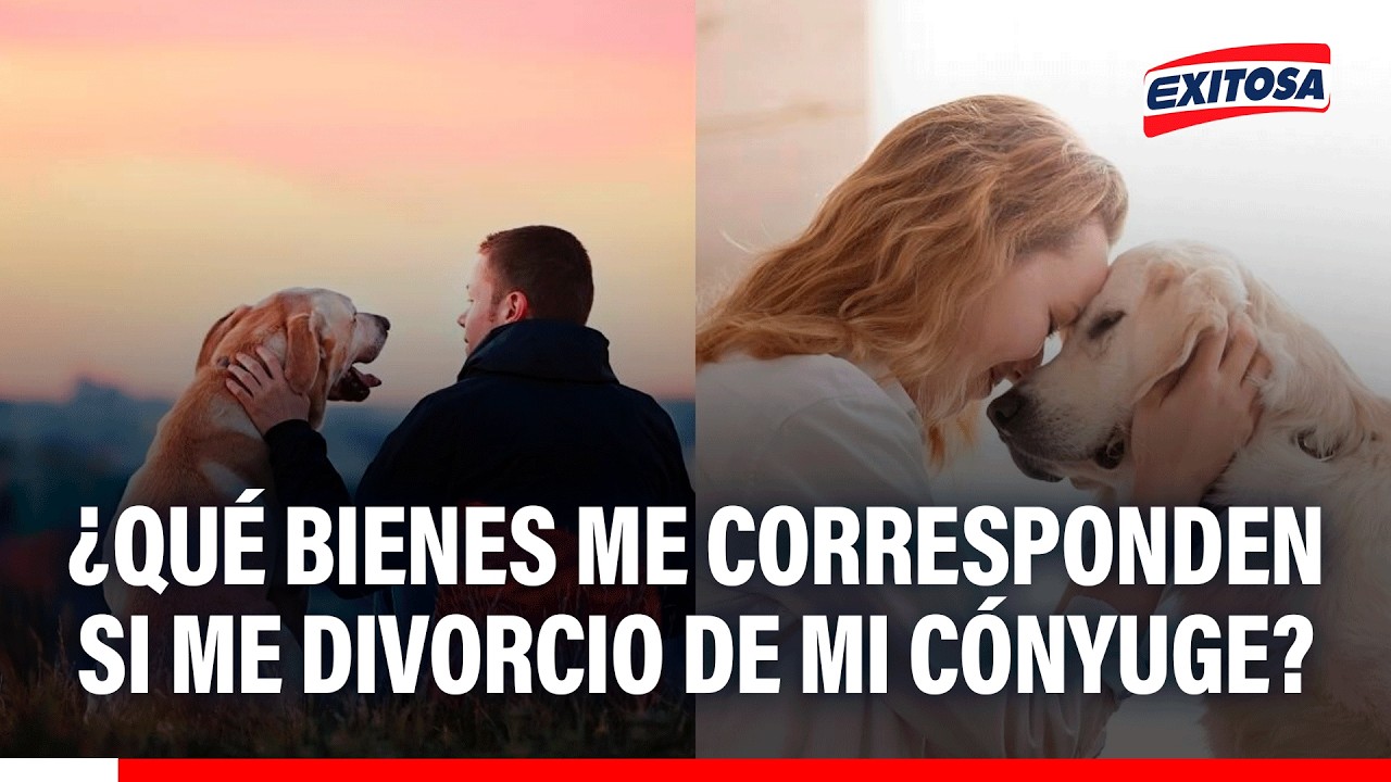 🔴🔵 ¿Qué bienes me corresponden si me divorcio de mi cónyuge?