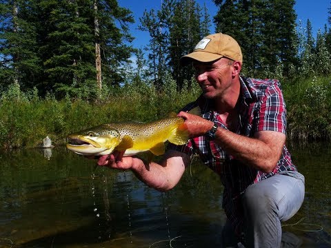 Solving A Big Trout Riddle: Orvis Master Class – The Ozark Fly Fisher ...