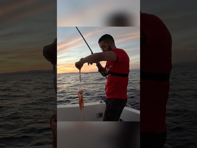 Vídeo relacionado con 5pcs Señuelos de Pesca Luminous Squid Squid Jig Hooks Pesca de Calamar señuelos de Pesca señuelo Cebo