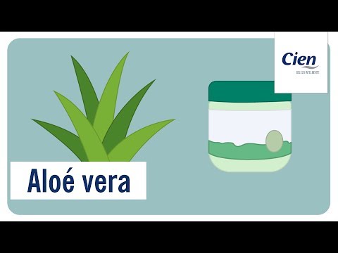 Os benefícios da Aloé vera | Rituais de Beleza Cien | Lidl Portugal