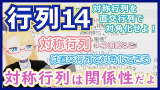 【対称行列】それは関係性を表現する自然に出てくる行列【行列14対称行列】 #147 #VRアカデミア #線型代数入門