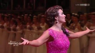 OP - Chi il bel sogno di Doretta 04.02.2016