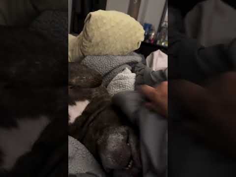 Saturday morning wake ups are THE WORST! She can’t wait for the hockey season to be over, Baseball