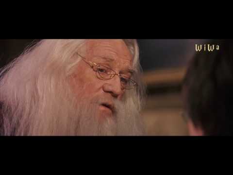 Fresh Dumbledore feat. Hermi G - Dumbledore ist bei dir [WiWa Music Video] (HD)