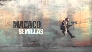 Macaco   Semillas Audio