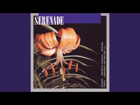 Japanischer Laternentanz