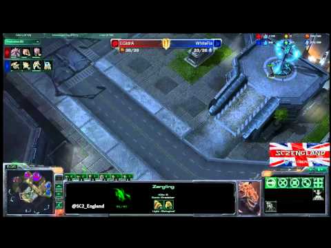 EGIdrA vs WhiteRa - ZvP