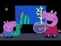 Peppa Pig The Aquarium English Full Episodes Compilation 25
