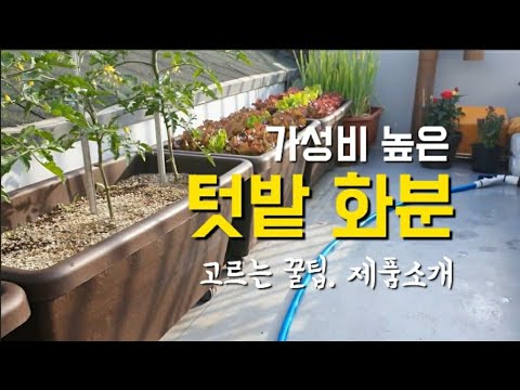 , title : '텃밭 화분 소개 ㅣ옥상 텃밭박스 추천 ㅣ대형 플라스틱 화분 ㅣgarden flowerpot ㅣ마이플랜트'