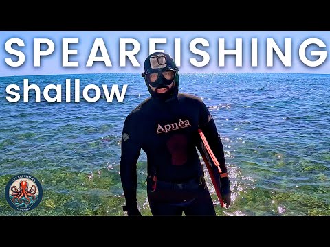 🔱 The Fish Would NOT Stop Coming… But the Last One Was the Best! | Shallow Spearfishing Greece 🐟