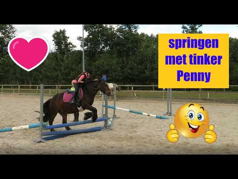 Springen in de les met tinker Penny bij Holzik stables. Lindsey 's paardenwereld.