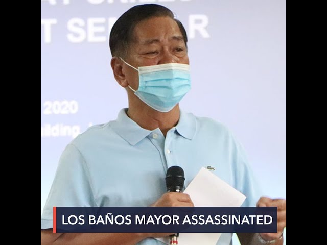 Robredo slams killing of Los Baños Mayor Caesar Perez
