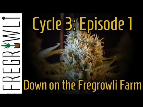 C3:E1 - Setting Up a Flood and Drain Table and Stand