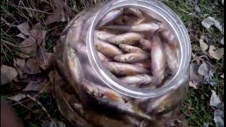 Ссылка