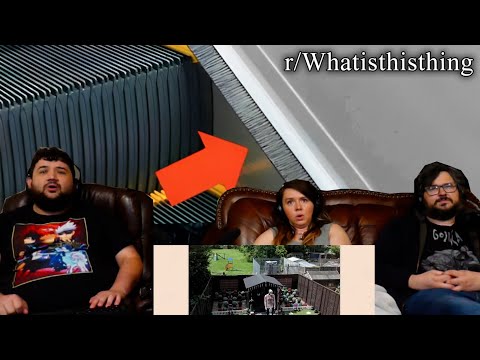 r/Whatisthisthing | why does it exist?? - @EmKay | RENEGADES REACT