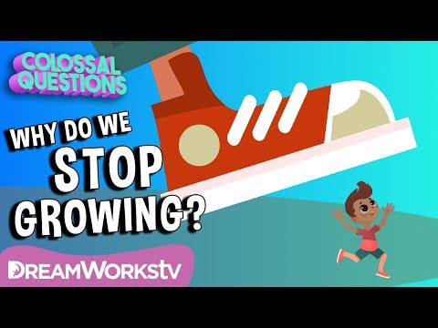 Why Do We Stop Growing? | COLOSSAL QUESTIONS | Learn #withme