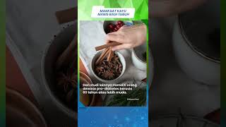 Ketahui, Ini Segudang Manfaat Kayu Manis yang Baik untuk Pembelajaran Otak Anak